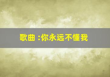 歌曲 :你永远不懂我